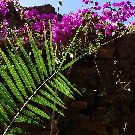 Casa La Moringa Alojamento de Acomodação e Pequeno-almoço 2*